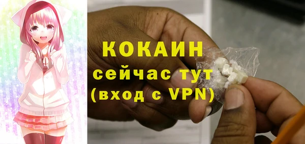 мяу мяу мука Арсеньев