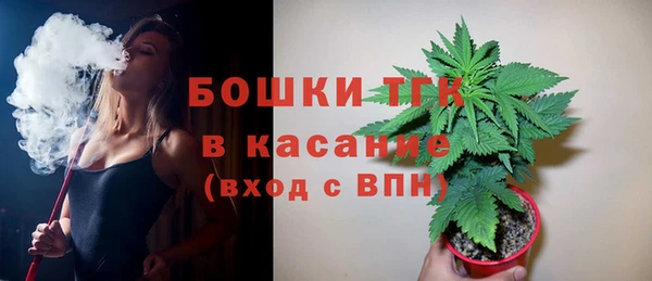 мяу мяу мука Арсеньев