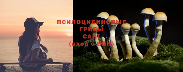 прущая мука Армянск