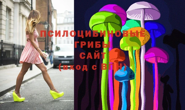ешки Аркадак