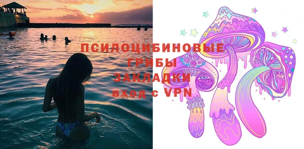 ешки Аркадак