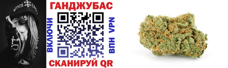 Каннабис гибрид  Жиздра 